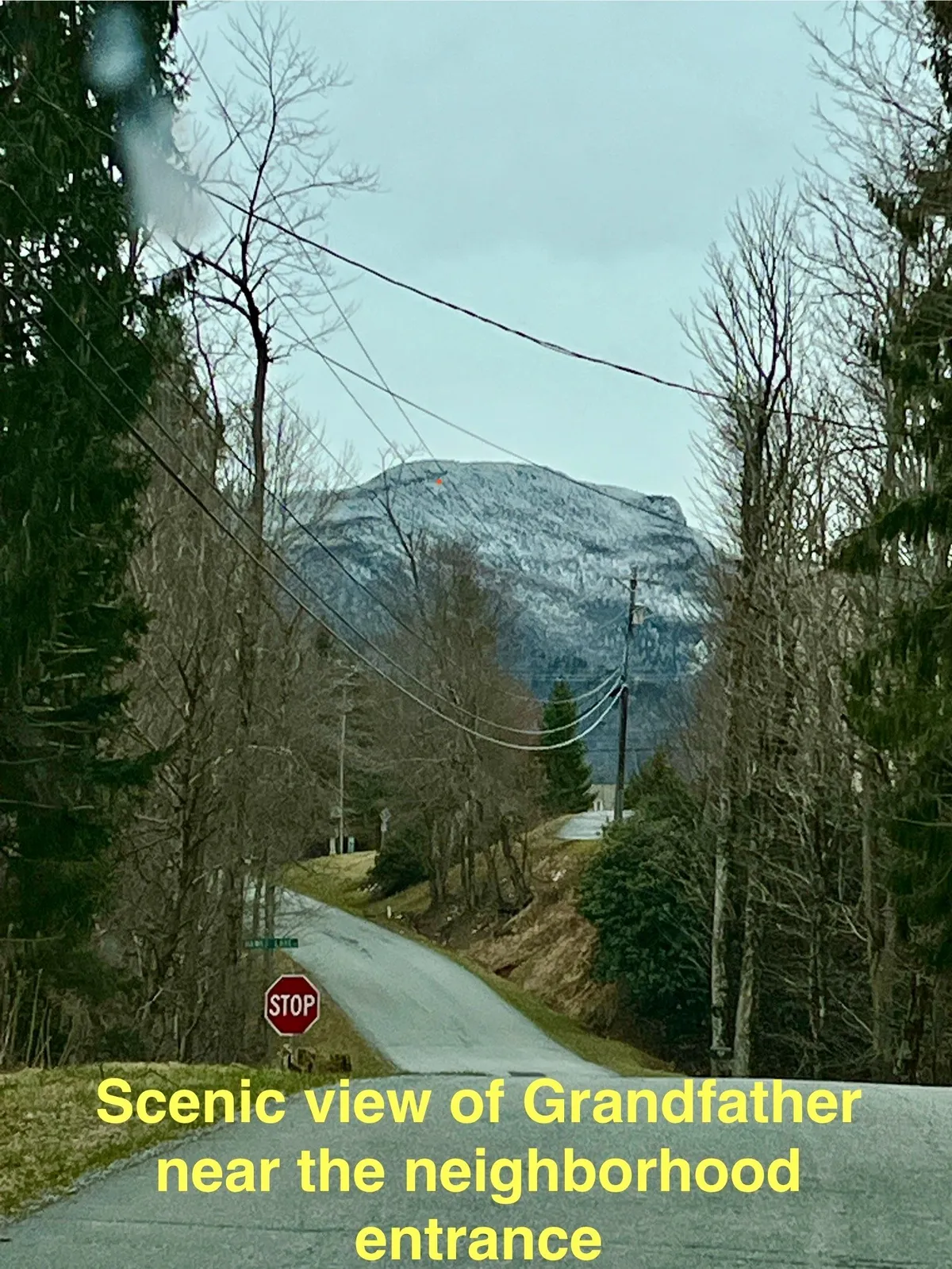 A peaceful mountain view with a road and stop sign winding through the neighborhood, surrounded by trees. The area feels accessible and perfect for morning walks, hikes, or scenic drives.
